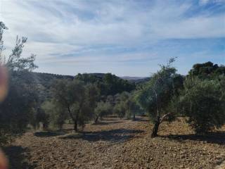 Vistas