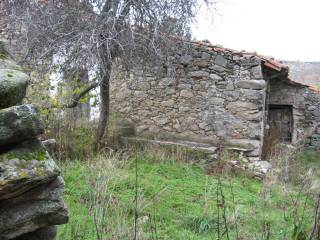 Jardín