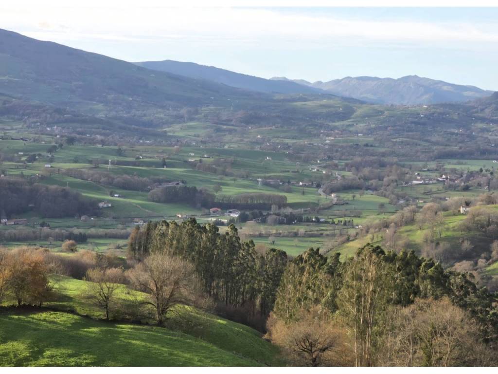 Vistas
