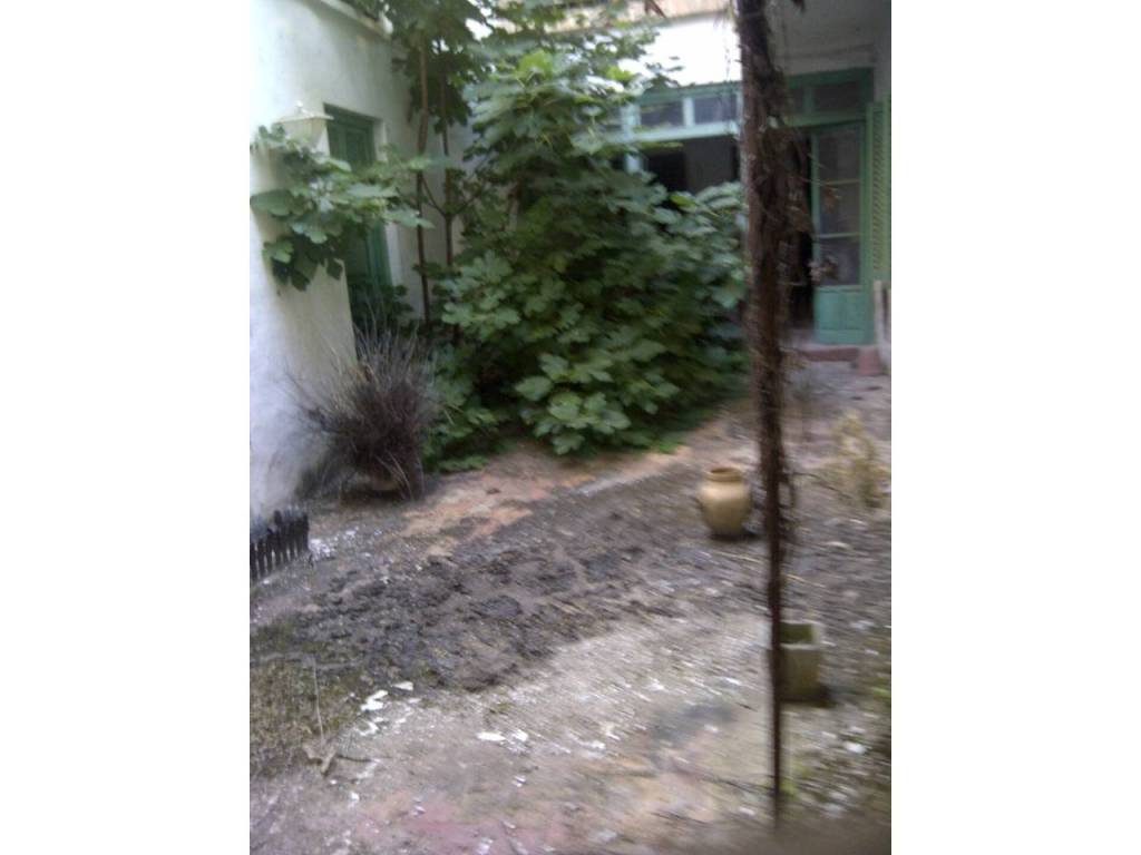 Jardín