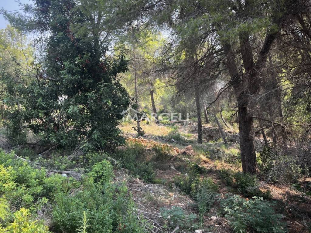 Jardín