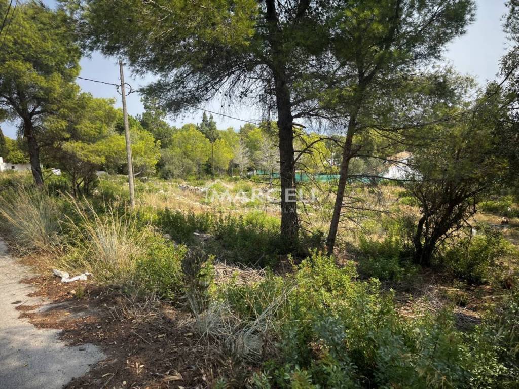 Jardín