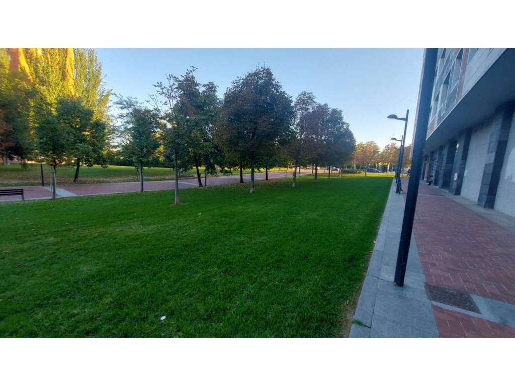 Vistas