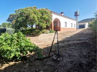 Jardín