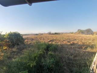 Vistas