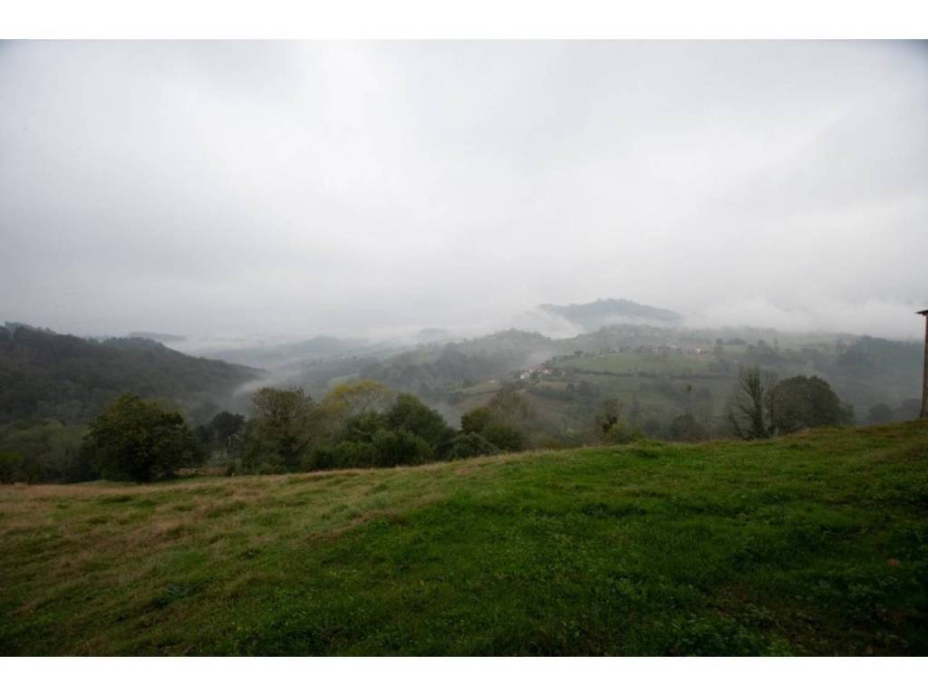 Vistas