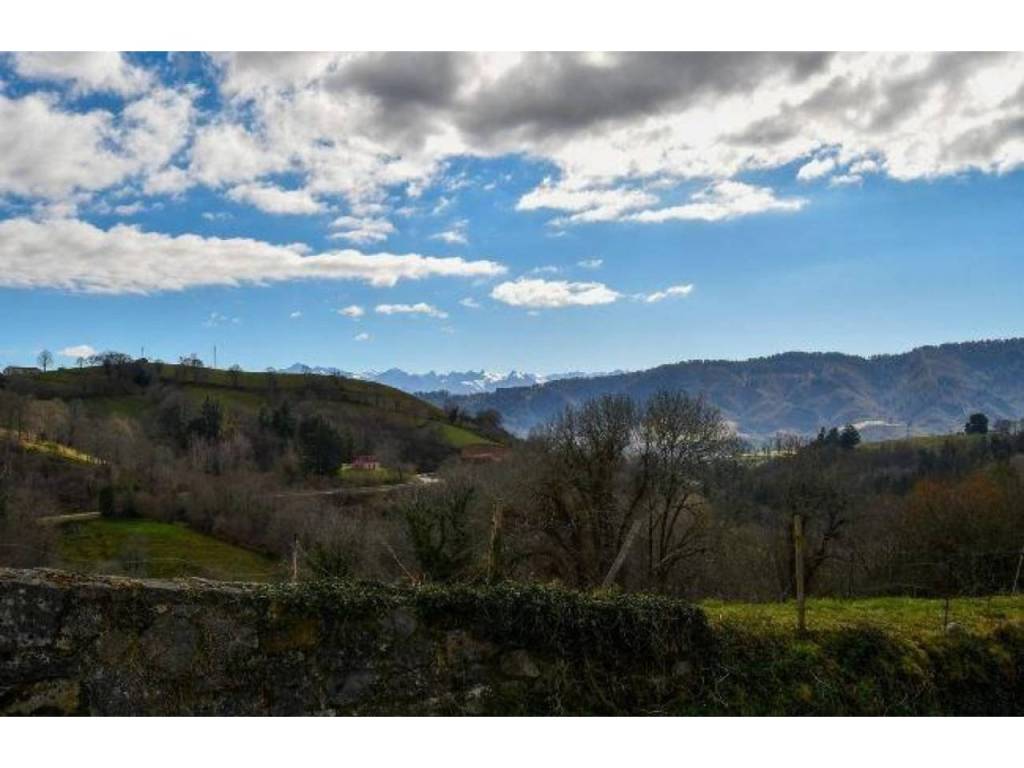 Vistas