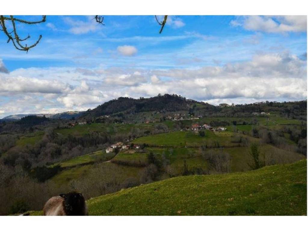 Vistas