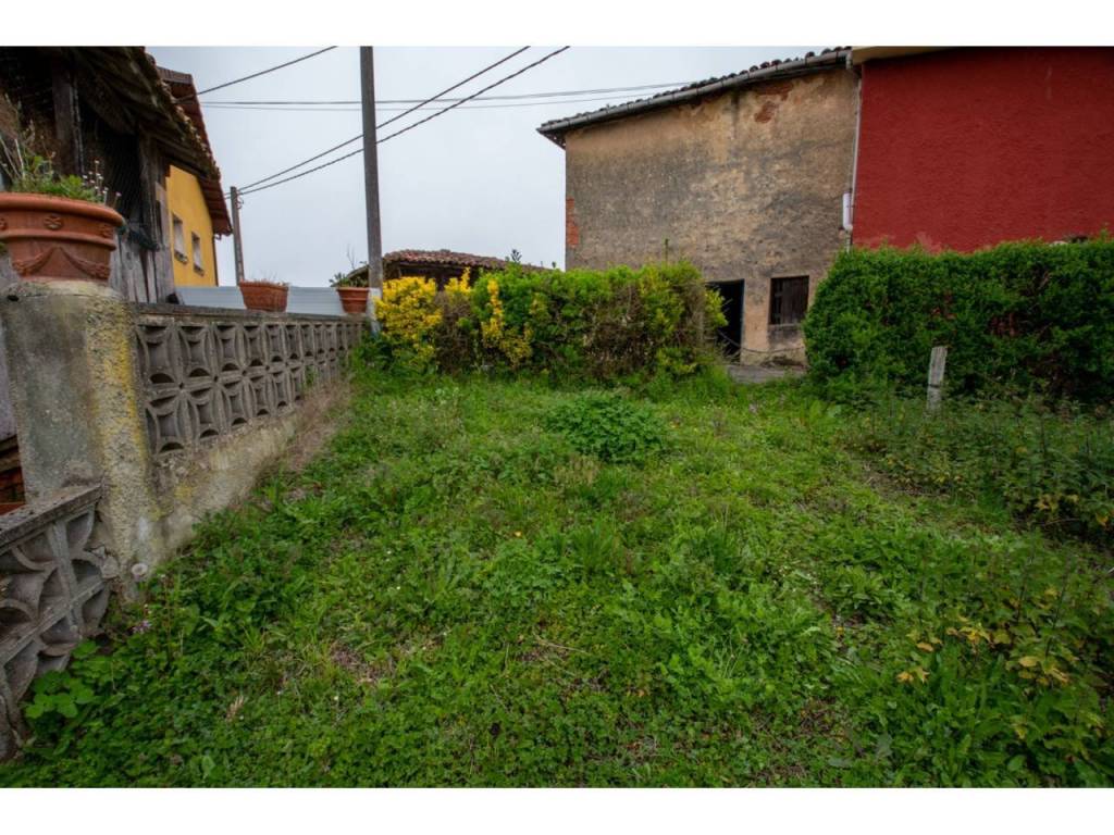Jardín