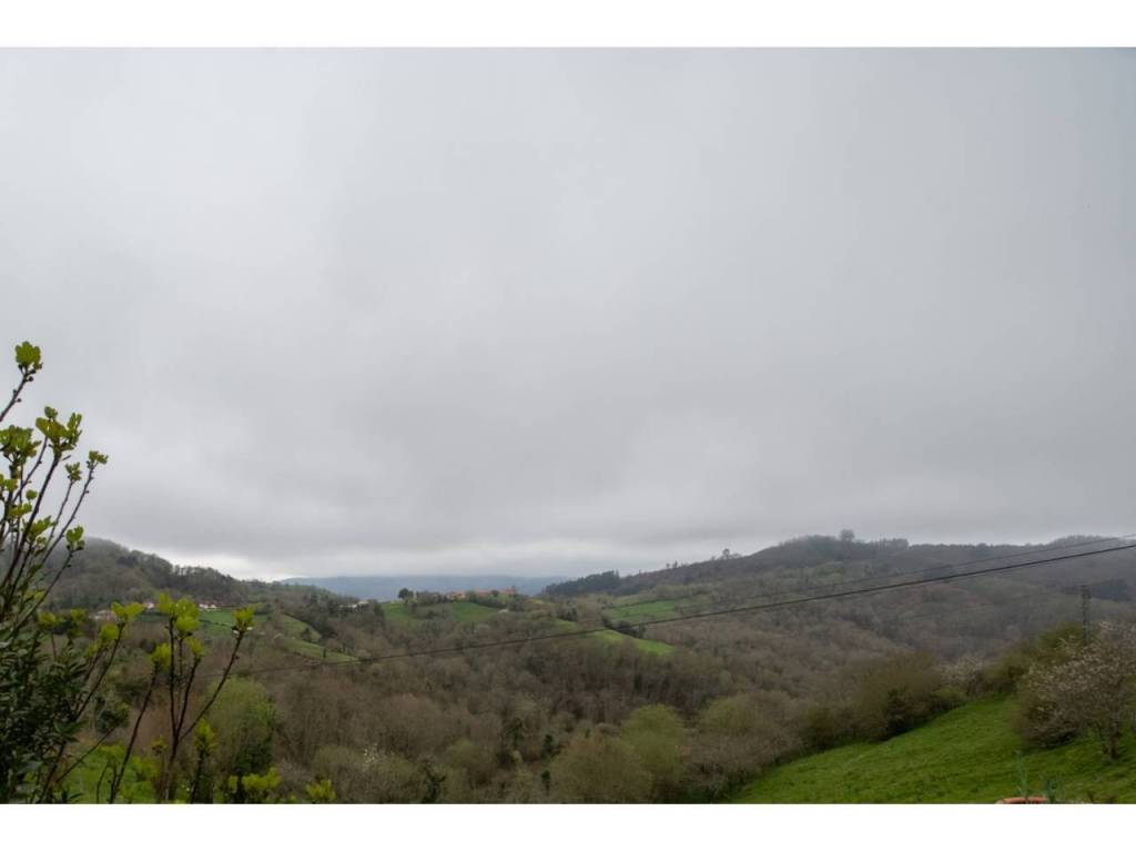 Vistas