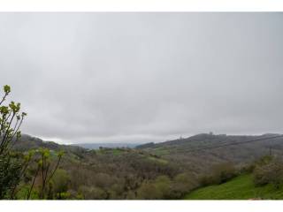Vistas