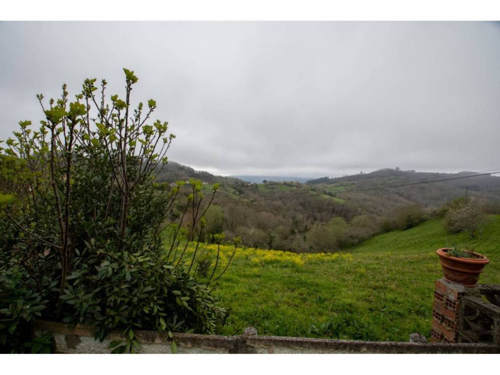 Vistas