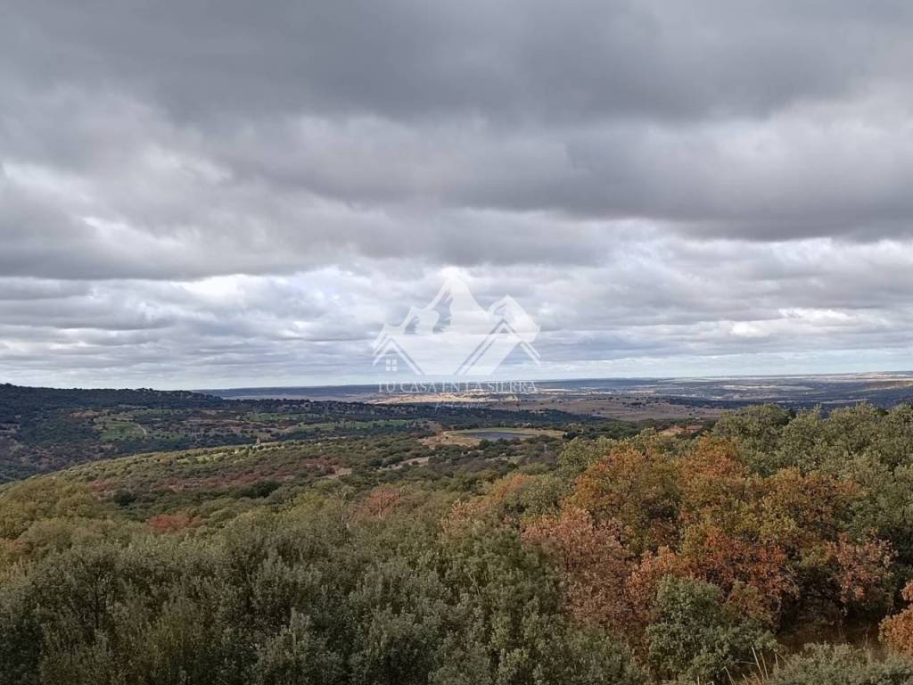 Vistas
