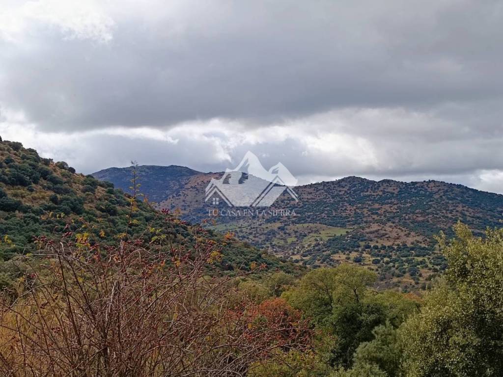 Vistas
