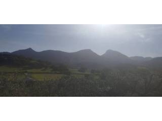 Vistas