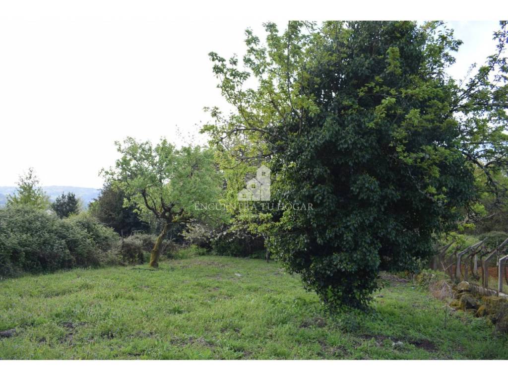 Jardín