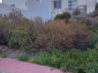 Jardín