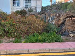 Jardín