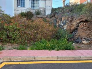 Jardín
