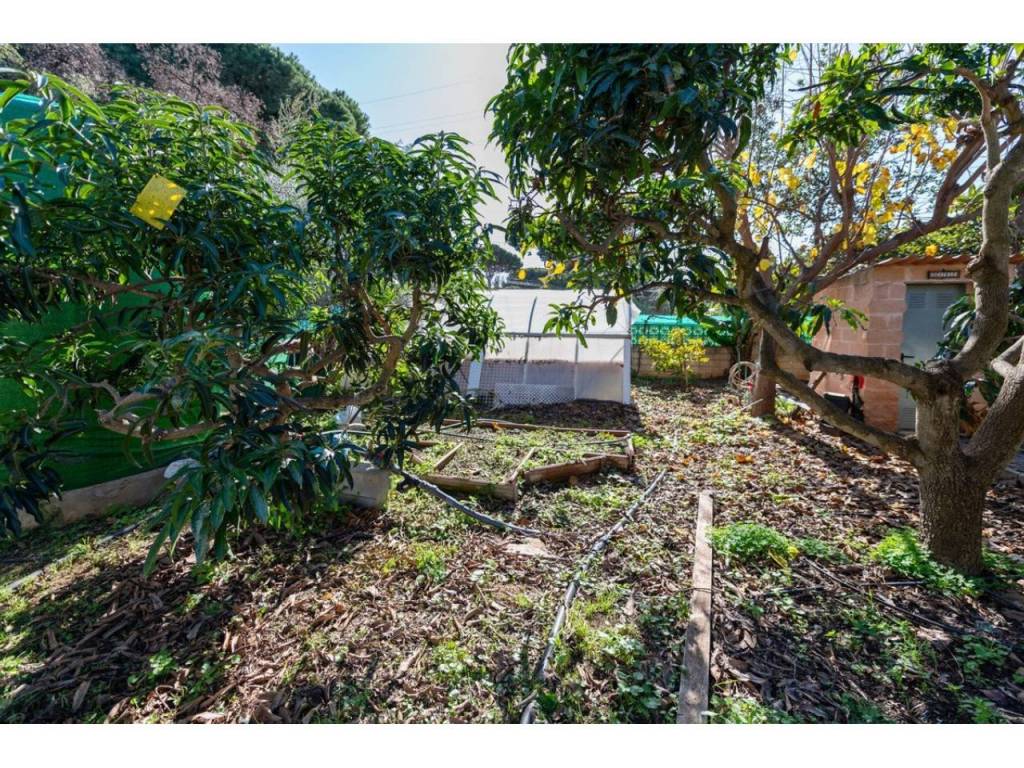 Jardín