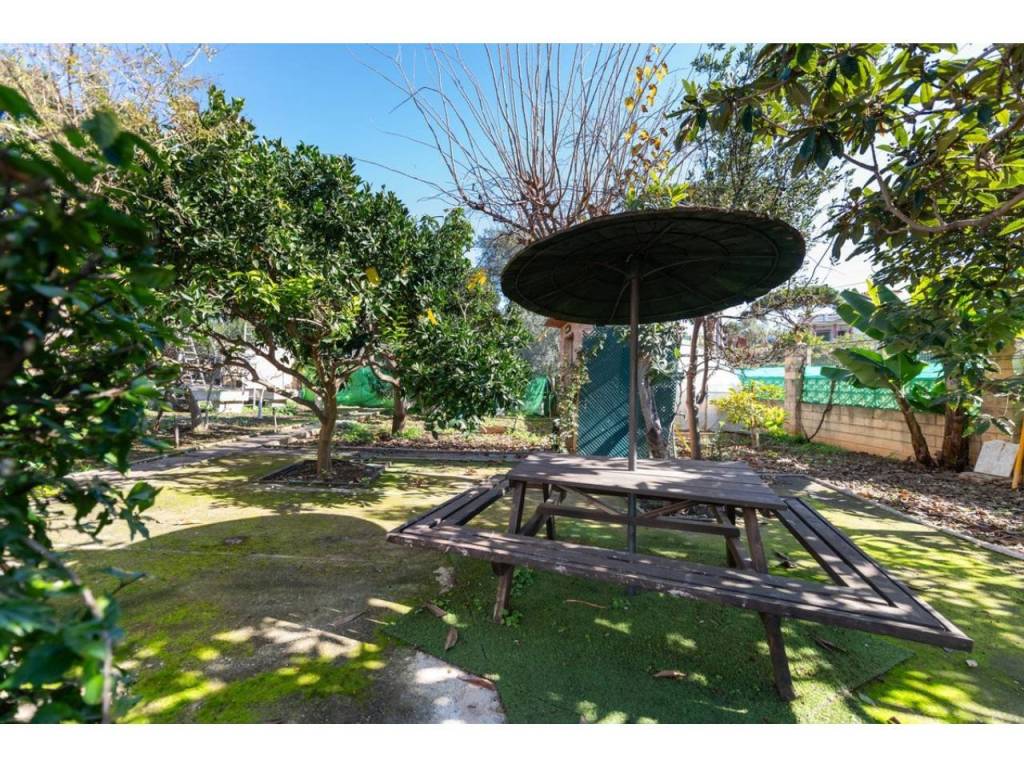 Jardín