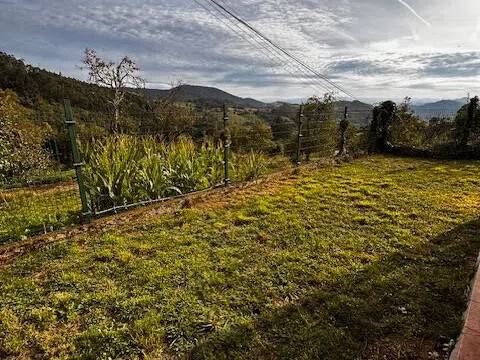Jardín