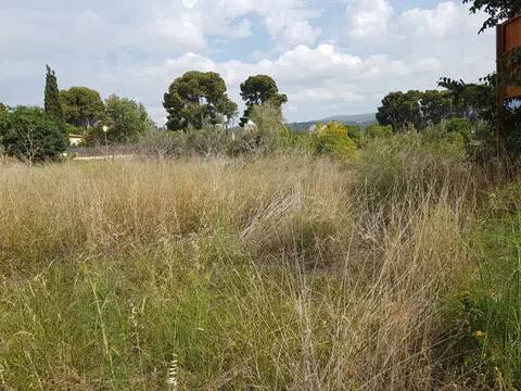 Terreno