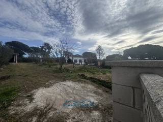 Vistas