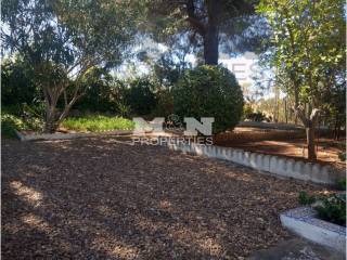 Jardín