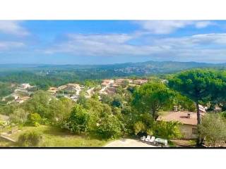 Vistas