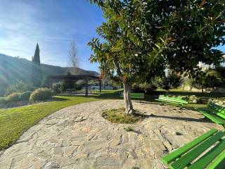 Jardín