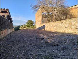 Jardín