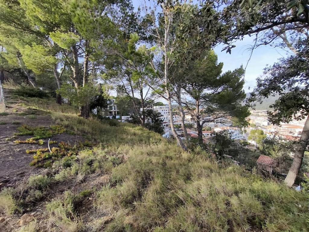 Jardín