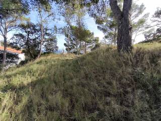 Vistas