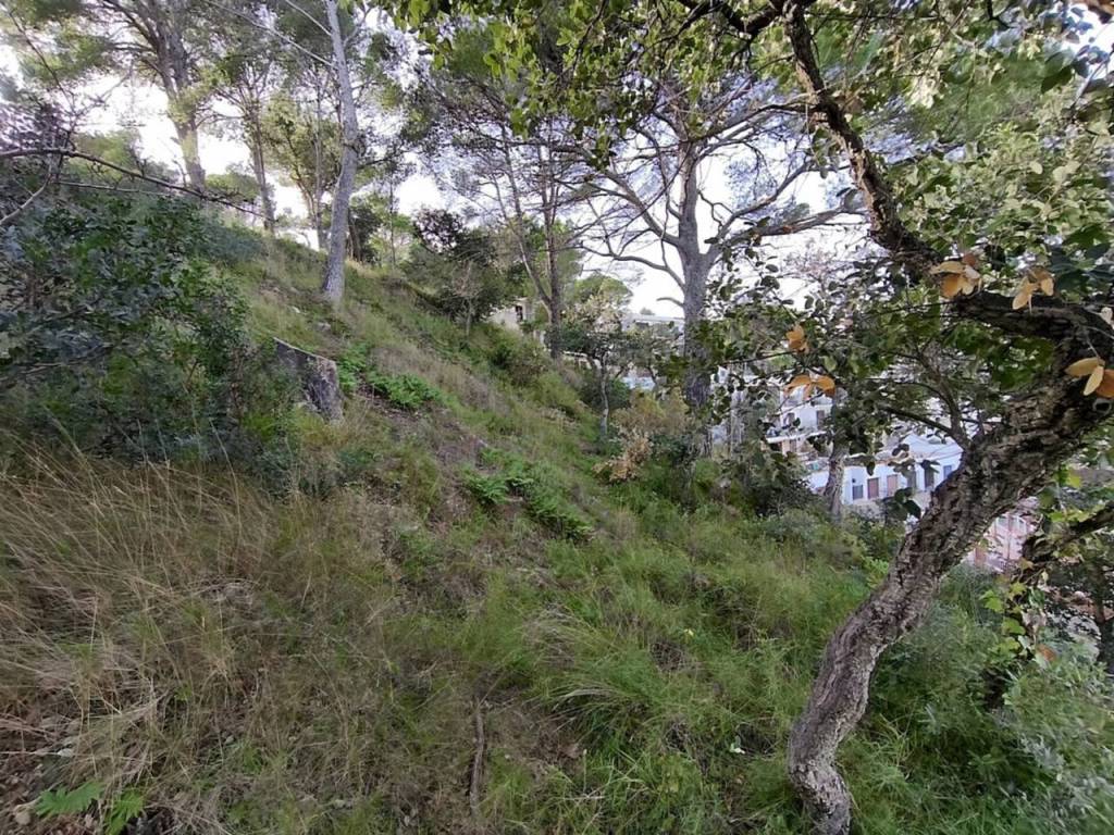 Jardín