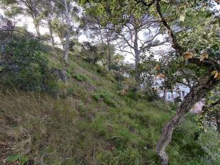 Jardín