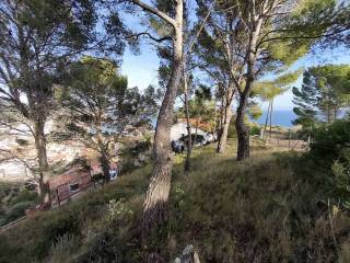 Vistas