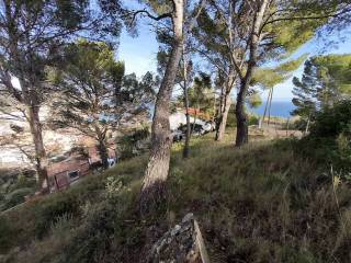 Vistas