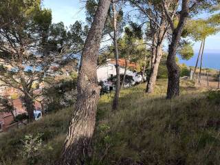 Vistas