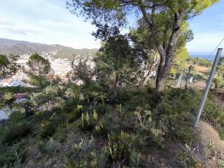 Vistas