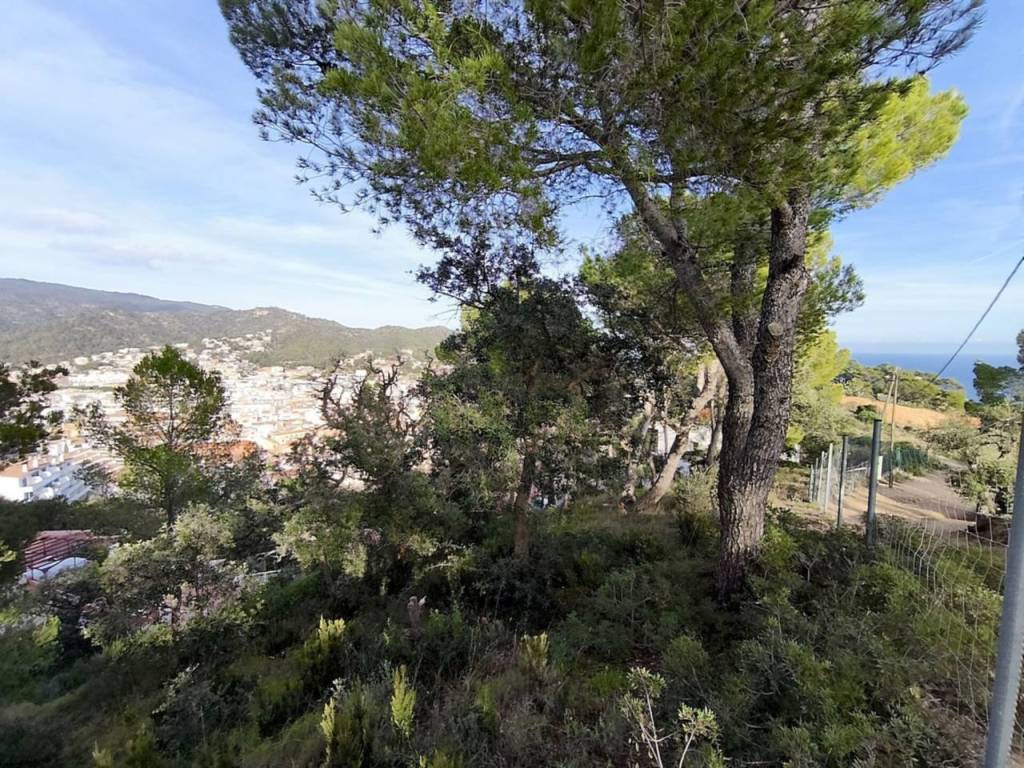 Vistas