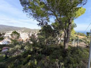 Vistas