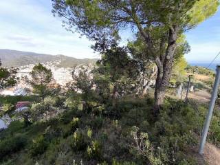 Vistas