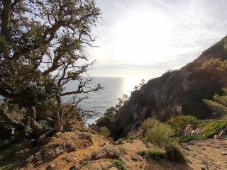 Vistas