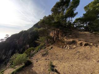 Vistas