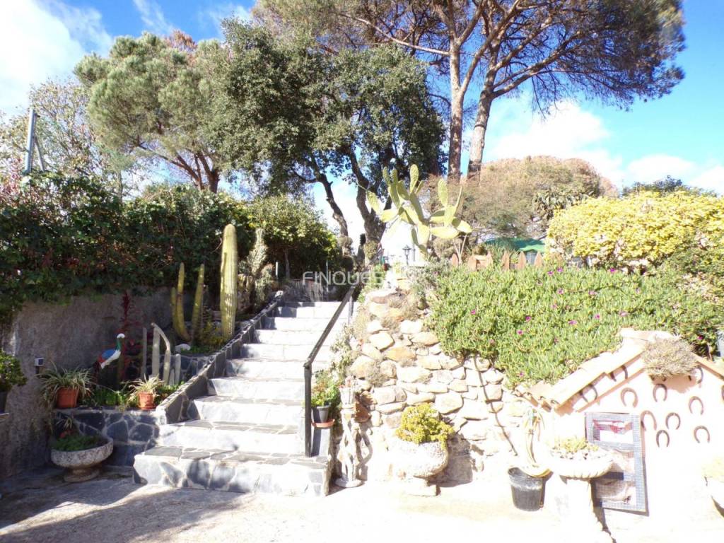 Jardín