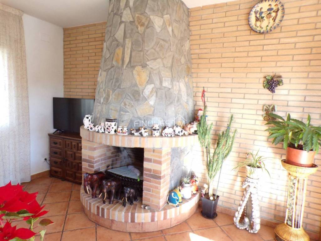 Archivo