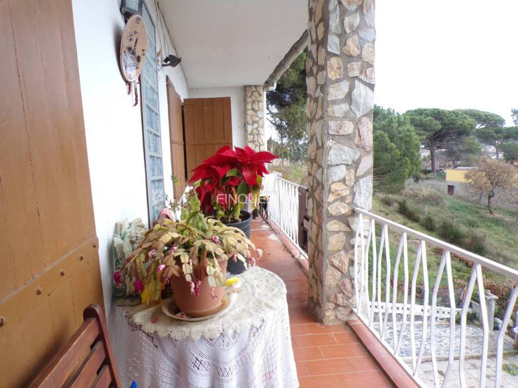 Terraza