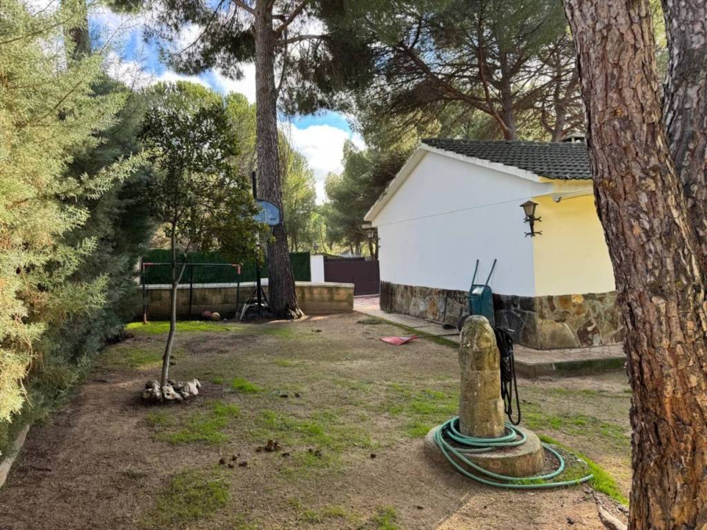 Jardín