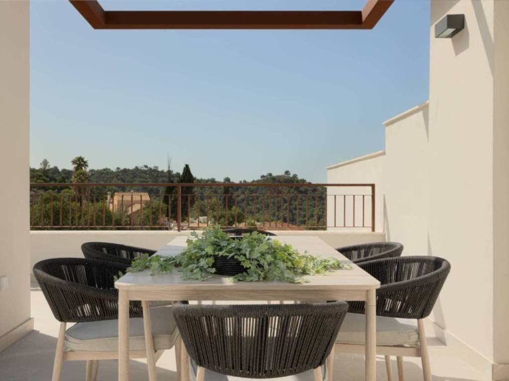 Terraza